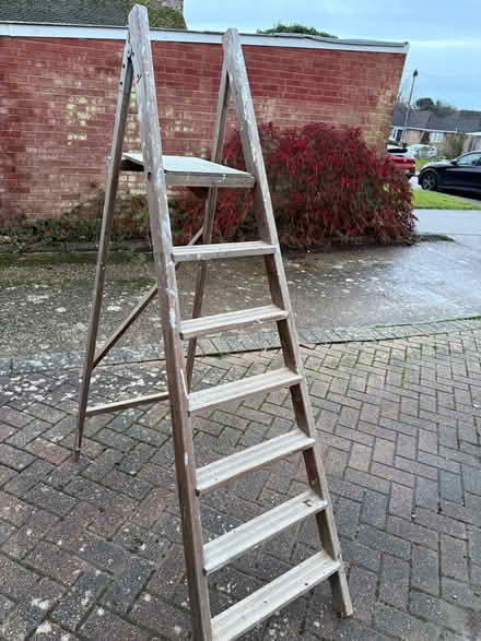 Photo of free Wooden step ladder (Cooden TN39) #1