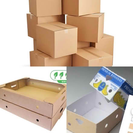 Photo of Cardboard Boxes/trays (Lissington LN3) #1