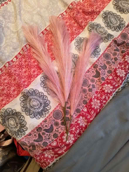 Photo of free Artificial pampas in pink (Caversham RG4) #1