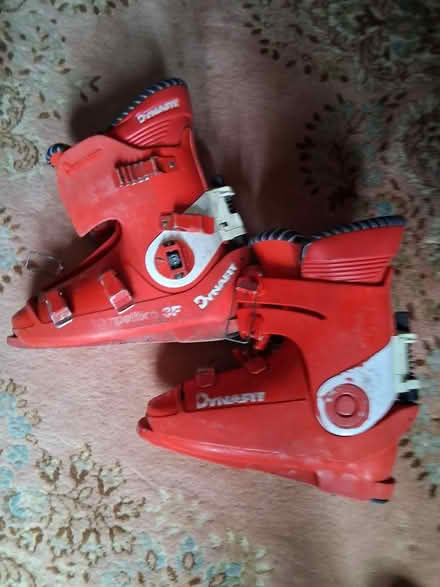 Photo of free Dynafit ski boots (TA4) #1