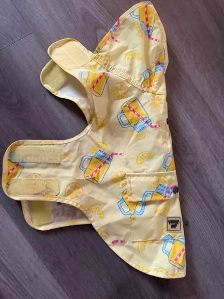 Photo of free Puppy raincoat (Colchester CO3) #1