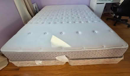 Photo of free cali king mattress & box spring (Near cupertino library) #1