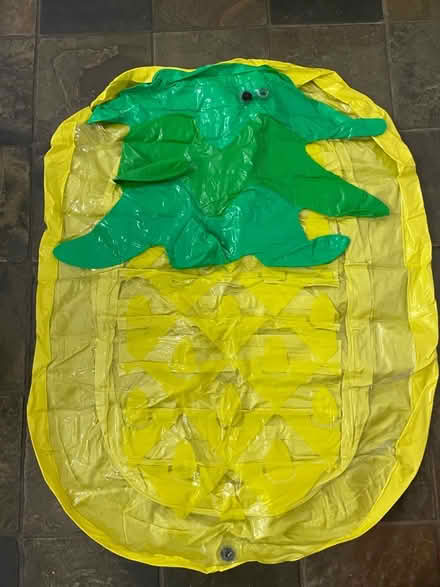 Photo of free Giant Inflatable Pineapple with bag (West Brompton SW6) #1