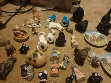 Photo of free China Cat Collection (Trowbridge BA14) #2