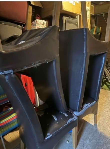 Photo of free Dining chairs (Cippenham SL1) #1