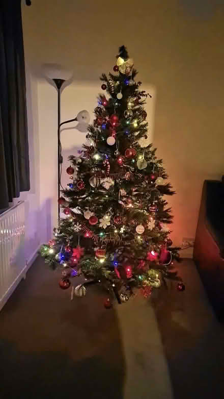 Photo of free Christmas tree (S8. Lowedges.) #1
