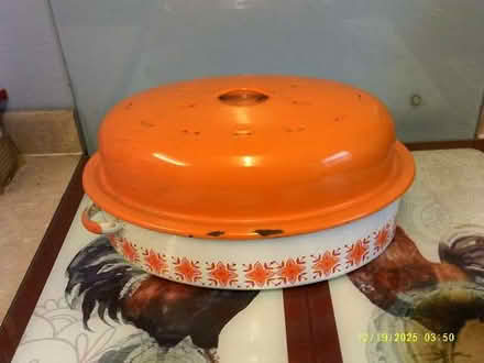 Photo of free Roaster (Cotton Tree BB8) #1