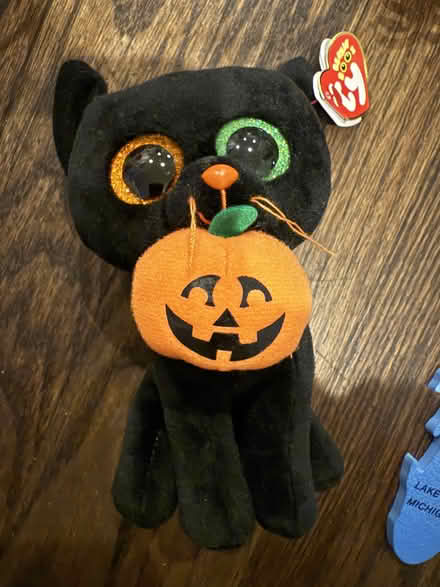 Photo of free Black Halloween cat Beanie Baby (Mount Pleasant, DC) #1