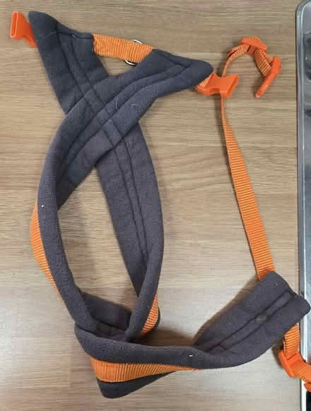 Photo of free Dog Harness (Seaford BN25) #4