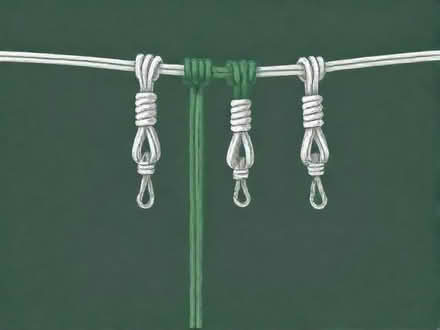 Photo of Bungee cords (Parsons Green SW6) #1