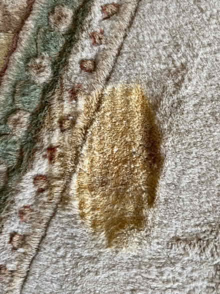 Photo of free Indian 100% Wool Rug (Kirkby Lonsdale LA6) #3