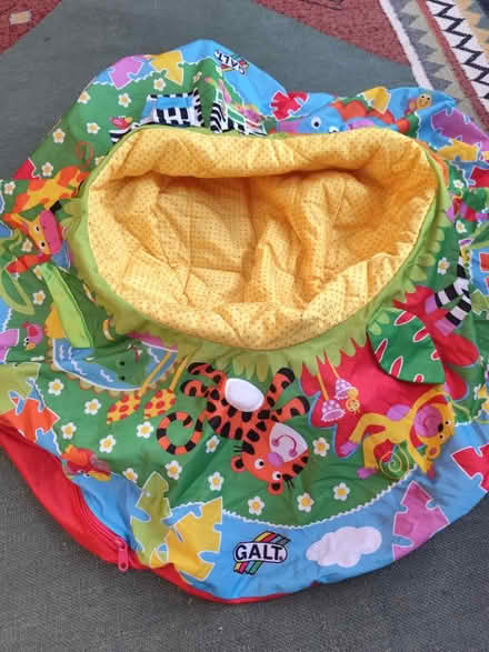 Photo of free Galt baby nest (inflatable) (Hanwell W7) #1