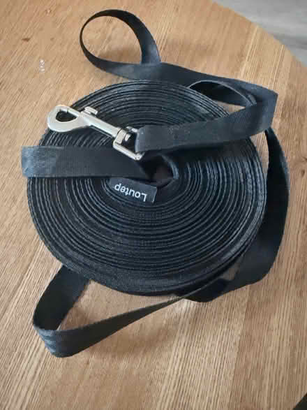 Photo of free Dog training leash (Colchester CO3) #1