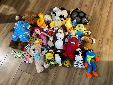 Photo of free Teddy Bundle (Horndon SS17) #1