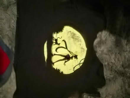 Photo of free T shirts (Keighley) (Keighley bd20) #2