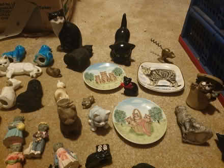 Photo of free China Cat Collection (Trowbridge BA14) #3