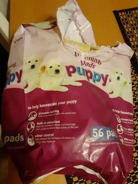 Photo of free Puppy training pads (Marston, Oxford OX3) #1