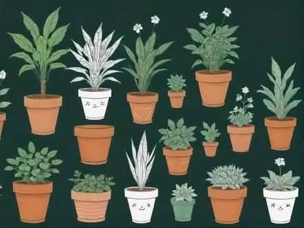 Photo of Terracotta Pots High Planters & Plants Bulbs (Upshire EN9) #1