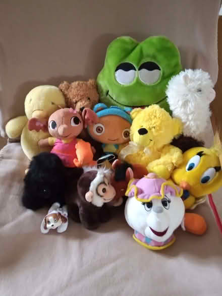 Photo of free Soft toys without CE mark (Maidenhead SL6) #1