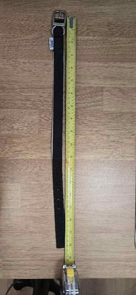 Photo of free Dog Collar Medium (Seaford BN25) #3