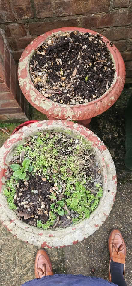 Photo of free Two large garden urns (Highams Park E4) #2
