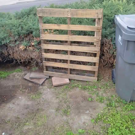 Photo of free Wooden pallet (East hemet / new chicago st) #1