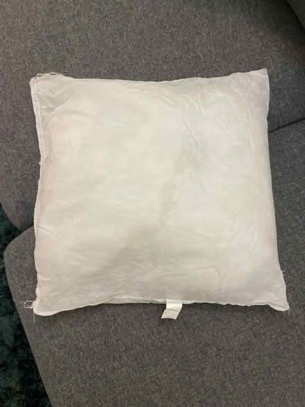 Photo of free 45 x 45 pillow insert (SW11) #1