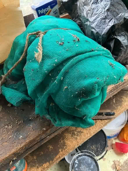 Photo of free Garden net (SE24) #1