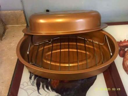 Photo of free Roaster (Cotton Tree BB8) #1