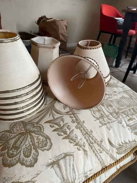 Photo of free Small candle lampshades (Amersham HP7) #2