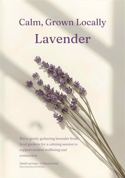 Photo of Lavender cuttings from local gardens 🌱 (Clerkenwell EC1R) #1