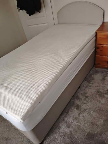 Photo of free Single bed (Rustington BN17) #1