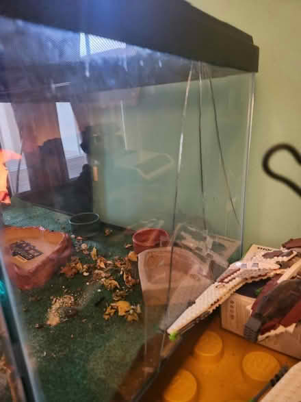 Photo of free Large glass reptile cage (60107) #2