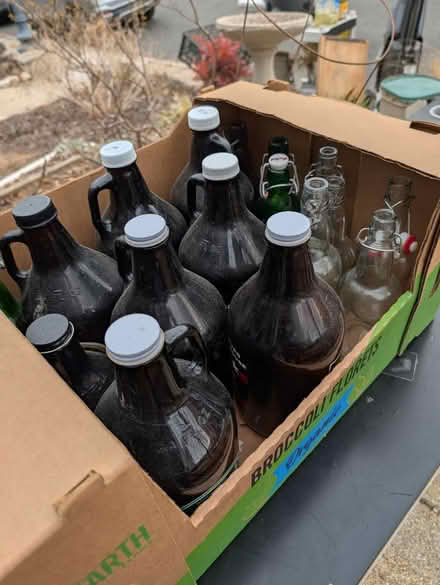 Photo of free Empty growler bottles (Park View - Colombia Heights) #1