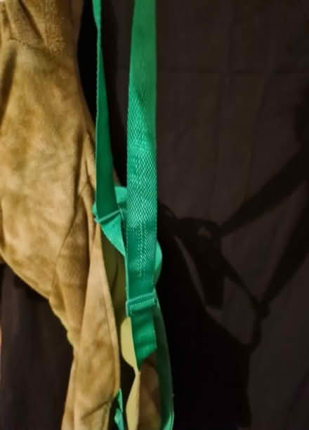 Photo of free Kids dinosaur outfit (NG15) #2