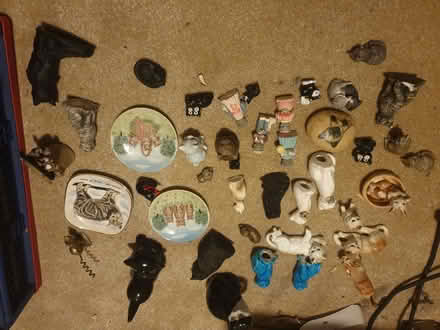 Photo of free China Cat Collection (Trowbridge BA14) #1