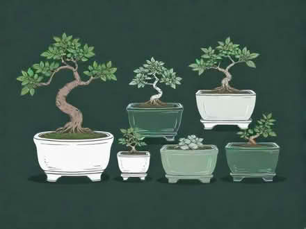 Photo of free Bonsai Pots (Hailsham BN27) #1