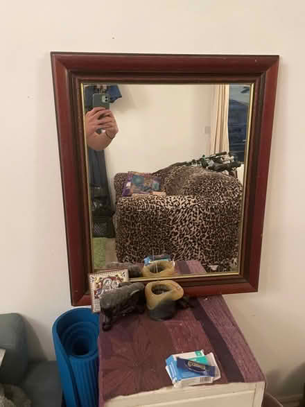 Photo of free Mirror (BS5) #1