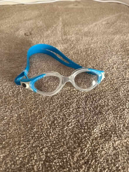 Photo of free Women’s Speedo swim goggles (Chiswick, W4) #1