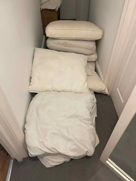 Photo of free Sofa cushions, duvet, pillows (Hemel) #1