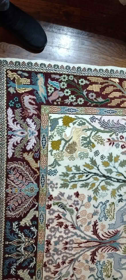 Photo of free 9 feet by 5.5 feet (White Plains) #4