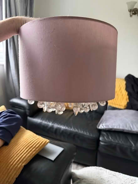 Photo of free Lightshade (Wigston LE18) #1