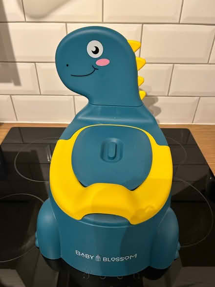 Photo of free Dinosaur potty (Chorley PR6) #2