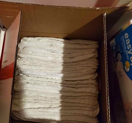 Photo of free Cloth Diapers and inserts (Near Experimental Farm) #1