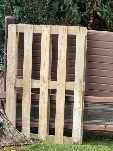 Photo of free Pallet (Stoneygate LE2) #1