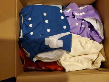 Photo of free Cloth Diapers and inserts (Near Experimental Farm) #2