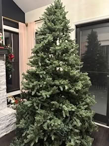 Photo of free Christmas Tree-artificial (Farmington) #2