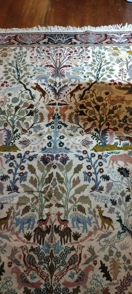 Photo of free 9 feet by 5.5 feet (White Plains) #2