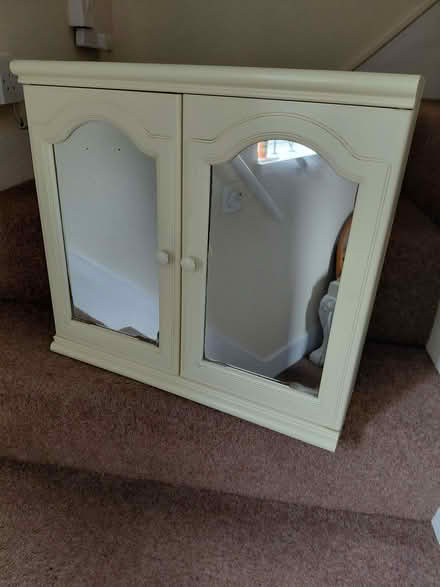 Photo of free Bathroom cabinet (Earlham NR4) #1