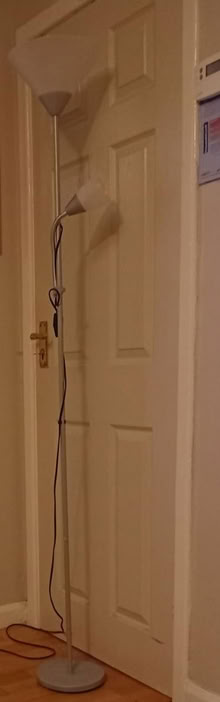 Photo of free Tall Twin Lamp (Egremont CA22) #1